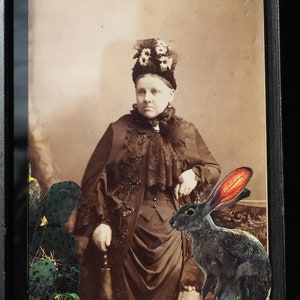 Original mixed media art of elderly lady with her Jackrabbit and cactus.