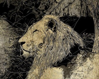 Lion Line Art, Wildlife Artwork, Digital Download, Printable, Digital File, Animal Wall Art, Canvas Art, Wall Décor, Gold Lion, A120