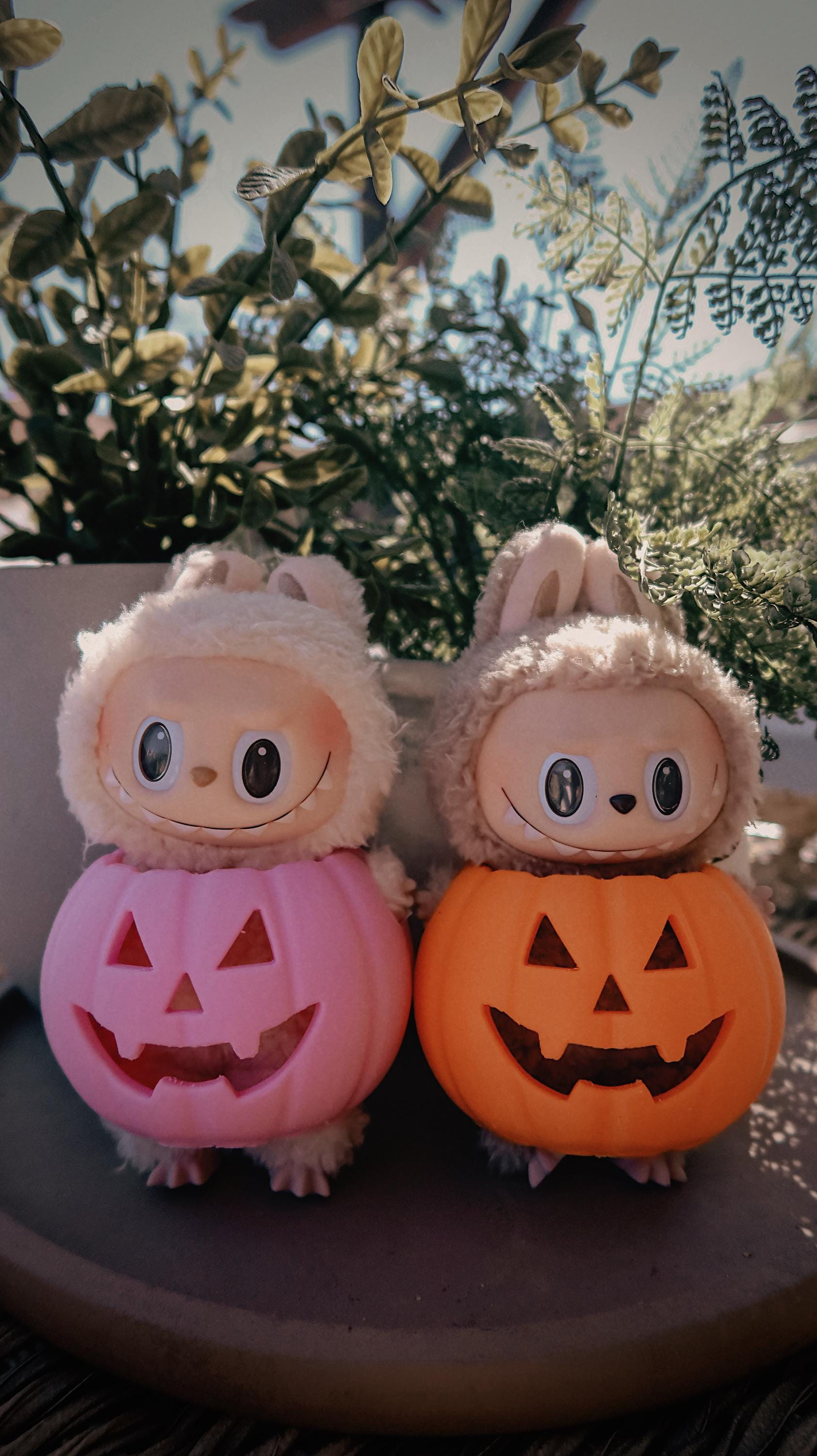 ラブブ パンプキン かぼちゃ ハロウィン 新品未開封/購入証明あり】ラブブ ハロウィン パンプキン