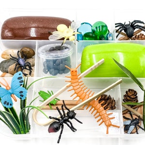 Bug Play Dough Kit, Insect Play Dough Sensory Kit, Nature Play Kit, Backyard Busy Box, Montessori Toy, Kids Learning Gift