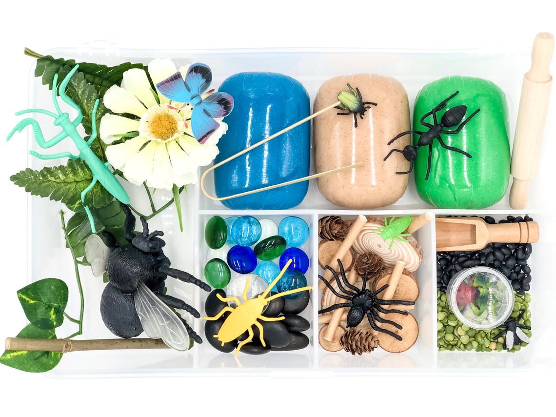 Bug Play Dough Kit Insect Play Dough Kit Insect Sensory | Etsy