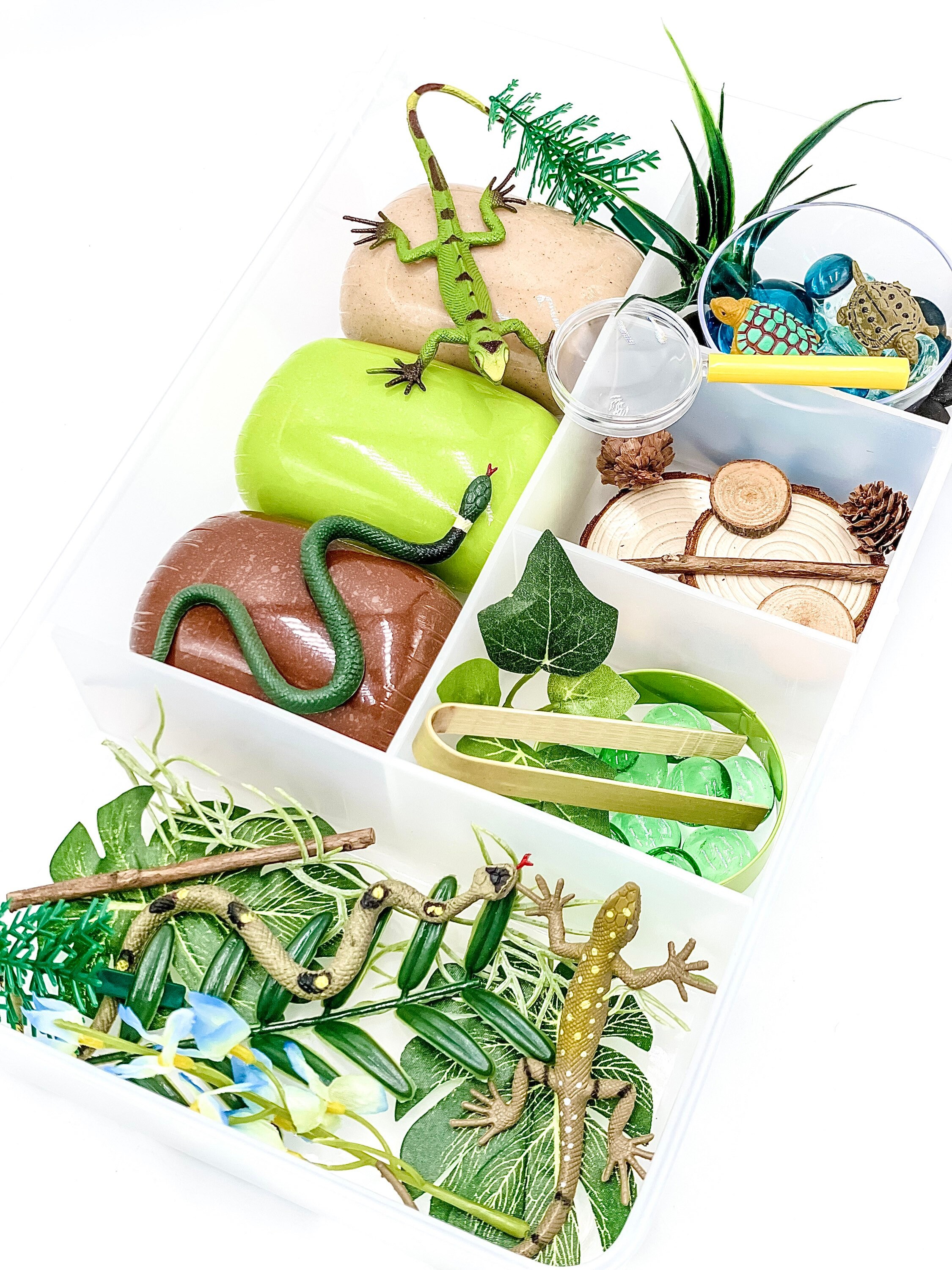 Reptile Play Dough Kit Creatures Sensory Bin Snake Lizard Etsy