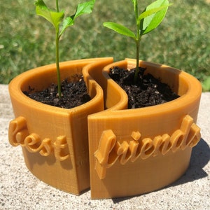 Plantadores personalizados - presente dos melhores amigos (2 peças incluídas)