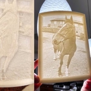 以下が含まれることがあります： 家の前で立っている白い手綱をした茶色の馬の3Dプリント写真。写真は白い背景に印刷されています。