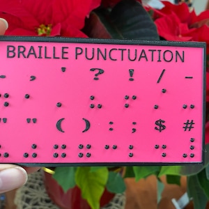 Braille Punctuation - 3D Learning Board - Made in Canada