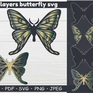 Butterfly svg, butterflies svg, butterfly clipart, butterfly cut file, svg, svg files for cricut, butterfly png, butterfly for cricut, png