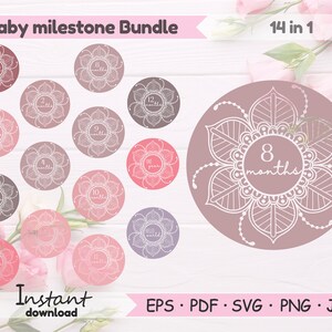 Baby milestone svg, Baby Shower Svg, Newborn Svg, Fichier pour Cricut, fichier pour Silhouette, Bodysuit infantile Svg, New Baby Svg, Baby Months Svg