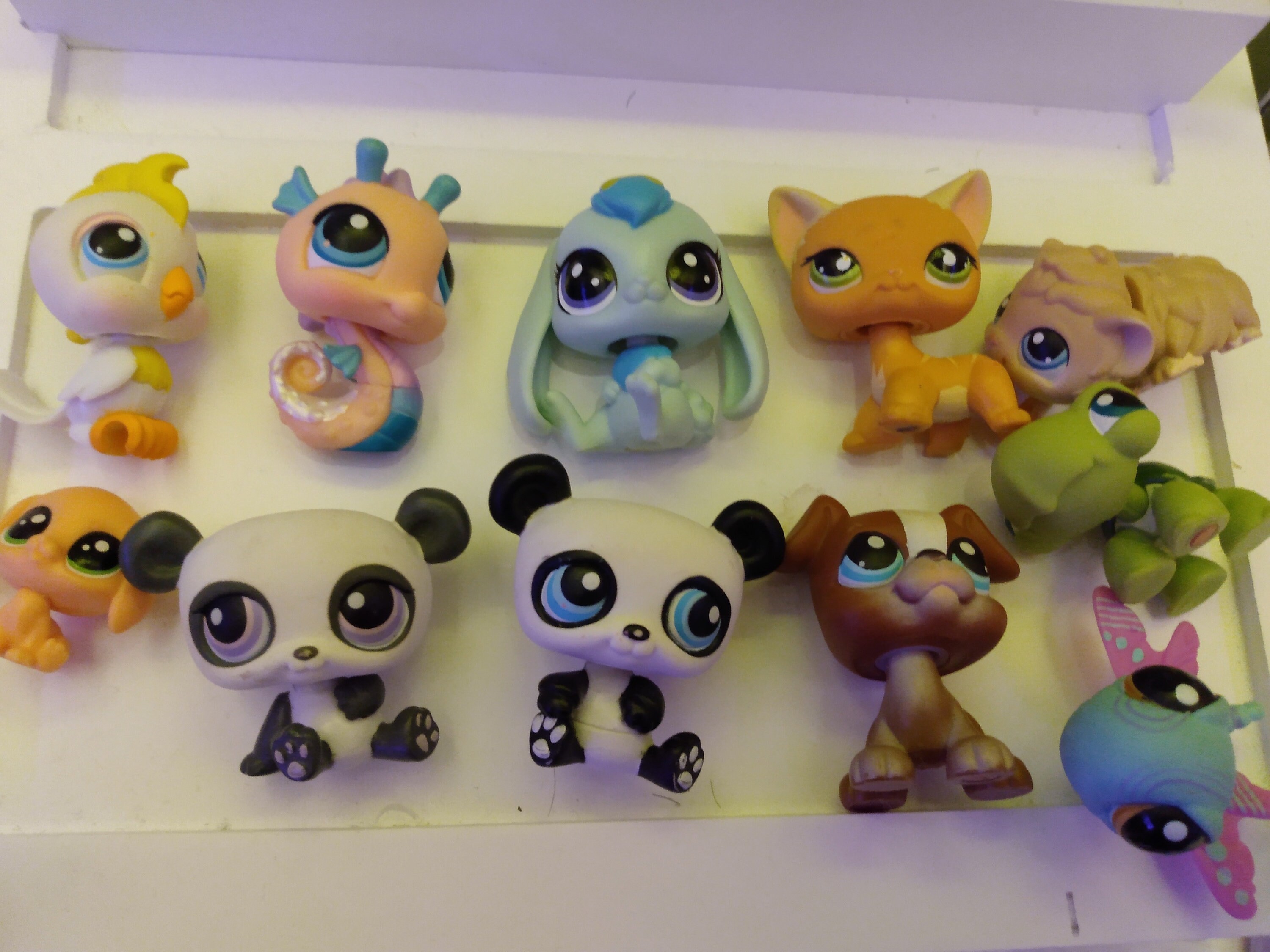 Trend fashion products Free Shipping & Free Returns most Best Price