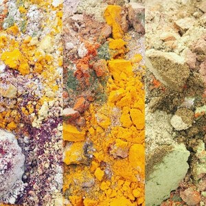 Kvinnligt stöd - Örthonung - Shatavari Rasayana - Ayurvediska örter - Kosttillskott bild 7