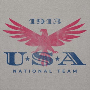 Może przedstawiać: Szara koszulka z postarzanym wzorem. Przedstawia czerwono-niebieskiego orła z rozpostartymi skrzydłami, napis "1913" nad nim i "USA NATIONAL TEAM" pod nim.