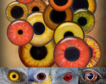 Printable Eyes Realistic Irises, Bird Eyes, Animal, Monster, Dragon, Doll eyes, Bottle Caps Pendants Paper Crafts Digital Collage