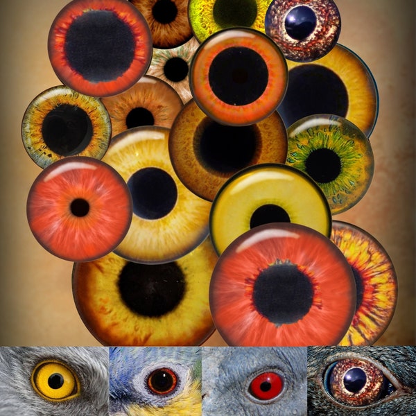 Printable Eyes Realistic Irises, Bird Eyes, Animal, Monster, Dragon, Doll eyes, Bottle Caps Pendants Paper Crafts Digital Collage