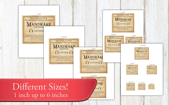 MANDRAKE マンドレイク　フライヤー　チラシ　４枚セット Realistic Mandrake Label, Printable Sticker Prop Potter Herbology