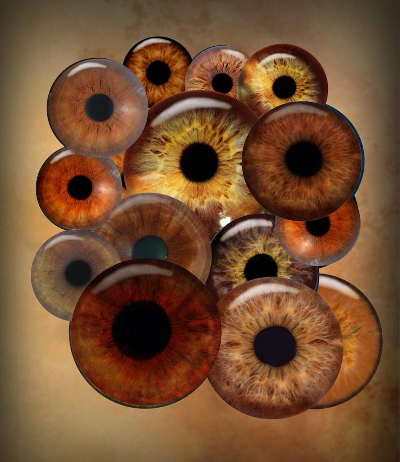 May include: A cluster of brown and gold eyes with black pupils, arranged in a random pattern. The eyes are all different sizes and shapes, and some have a more textured appearance than others.