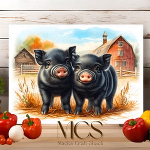 May include: Two black piglets stand in a field of tall grass. A red barn with white trim is in the background. The piglets are looking at the camera.