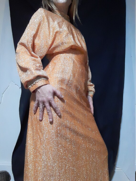 Rare 1970's designer metallic maxi dress by Alice