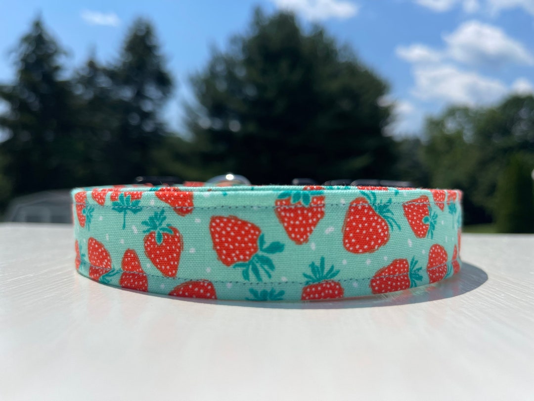 Strawberry Dog Collar, Fruit Dog Collar, Food Dog Accessories, Summer