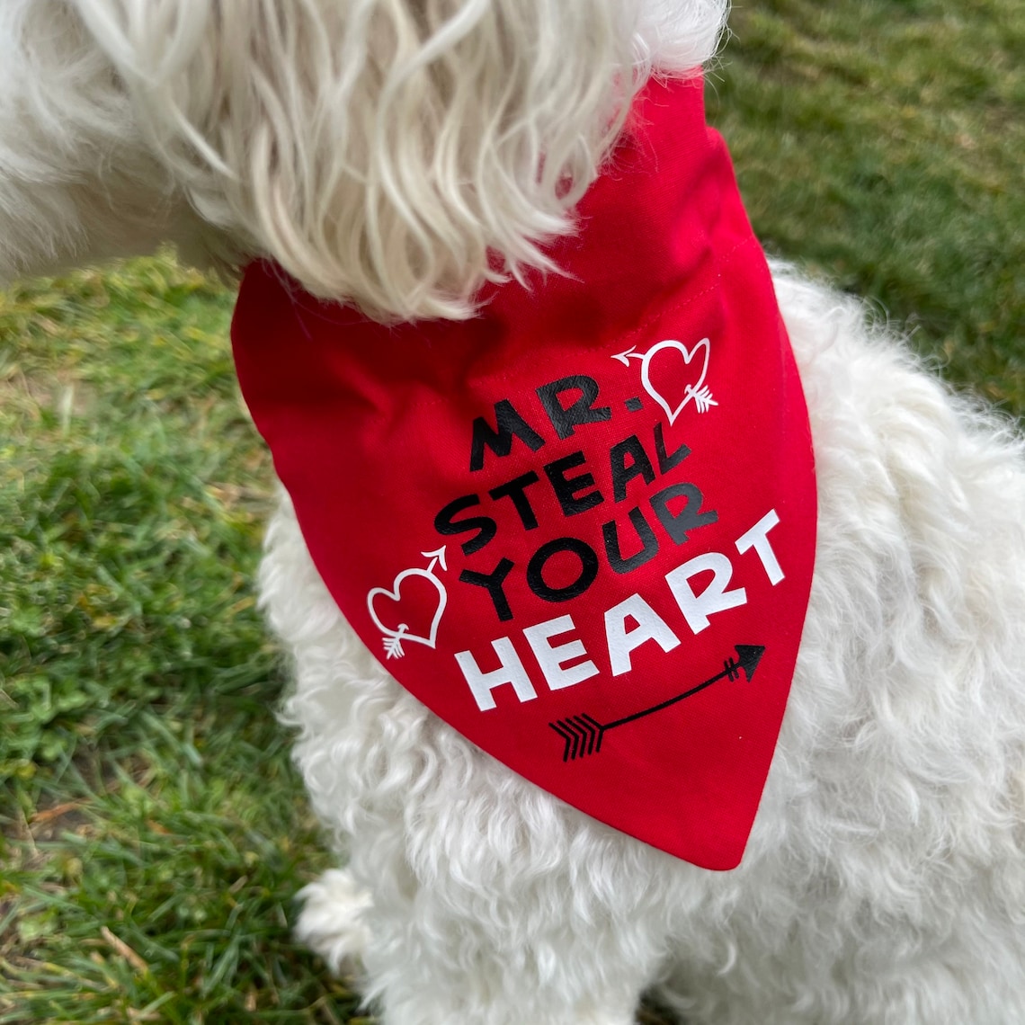 Valentines Dog Bandana Personalized Over the collar steal Etsy