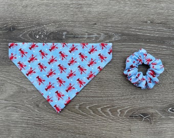 Lobster Dog Bandana Scrunchie Set Over the Collar, sea life bandana, dog scrunchie set, nautical dog, dog neckerchief, adventure bandana