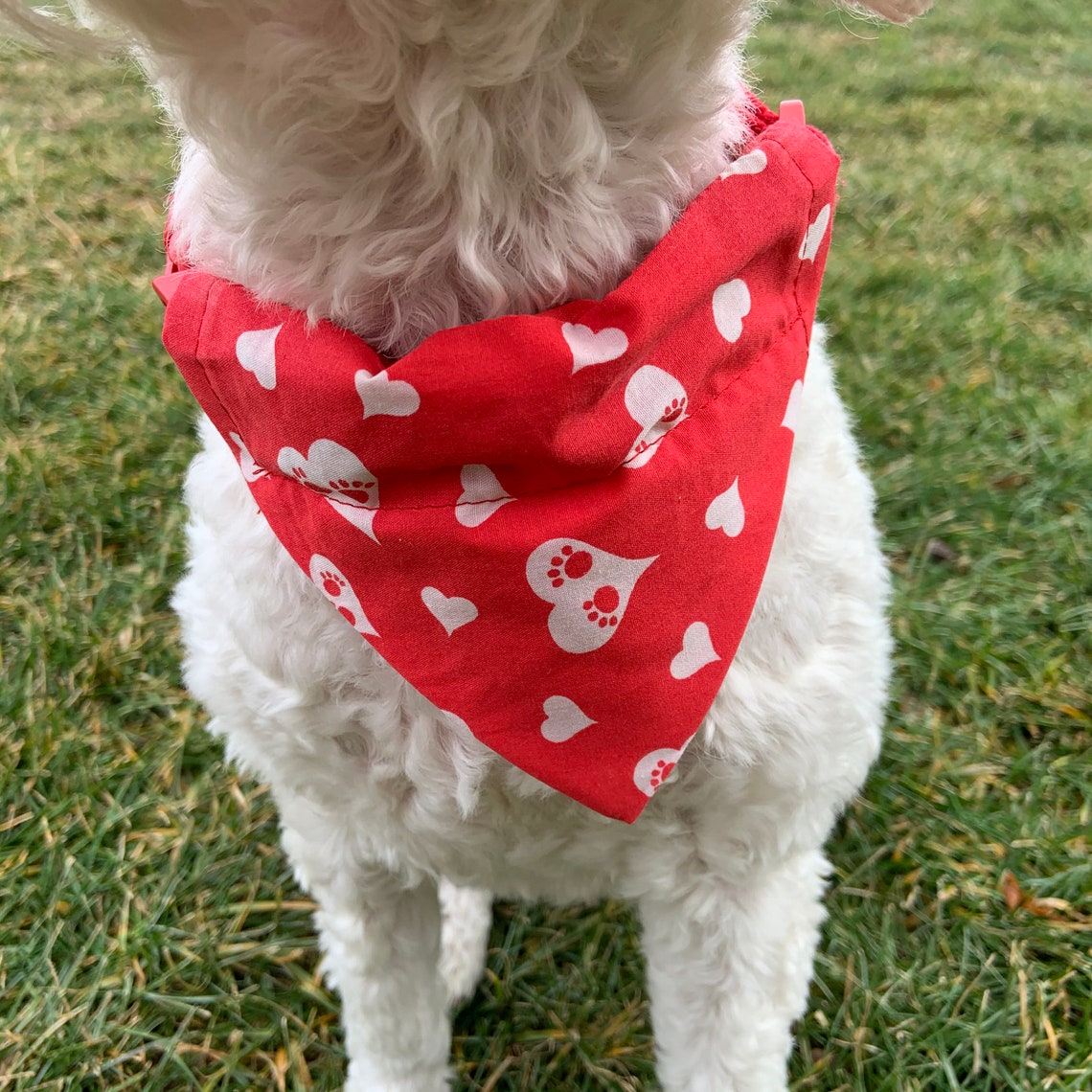 Puppy Love dog bandana Valentines Day dog bandana paw print Etsy