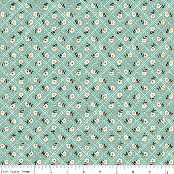 Fabric - PRAIRIE ROSE SEAGLASS - New lori Holt "Prairie Collection" Riley Blake Designs - Continuous Cut!  Floral Fabrics!!