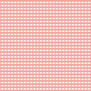 Fabric GINGHAM *CORAL* New Beautiful Quilting Cotton Always Continuous Cut For You C440-54