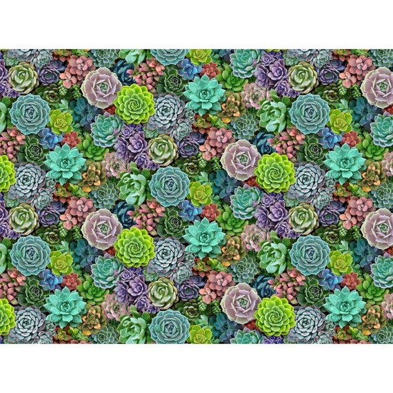 Fabric Landscape Melody SUCCULENTS NEW | Etsy