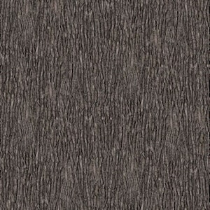 May include: Close-up of a dark brown tree bark texture with a vertical grain pattern.