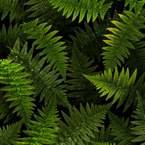 Fabric OPEN AIR - NEW!! Ferns - Forest  ***  by Quilting Treasures Fabrics