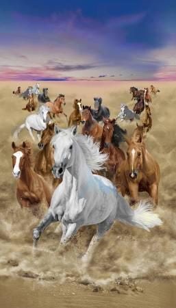Fabric Panel *WILD HORSES* #3482 100% Premium Cotton by Timeless Treasures 24" x 43" each panel as seen here