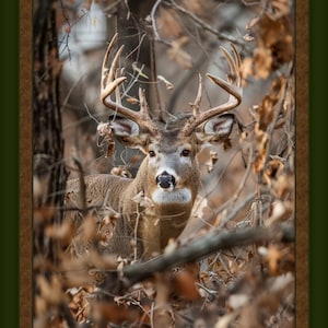 Fabric Panels *HIDDEN BUCK PANEL #1206* New!! 100% Premium Cotton Gorgeous !!!!   Digital Prints - Have Fun!!