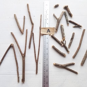 Wood Pieces for Crafts, Wood Branch, Natural Wood Sticks, Thin Branches, Primitive Branch, Twig Pieces, Minimalist Craft, Sticks for Signs