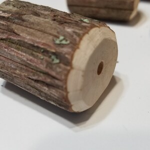 May include: A close-up of a small, wooden log with a hole drilled through the center. The log is brown and has a rough, natural texture.