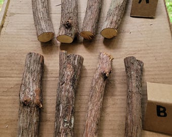 May include: Eight cylindrical wooden sticks with rough, textured brown bark arranged in two rows of four. Each stick features light-colored, circular cross-sections at the ends. Two small, folded cardboard markers labeled A and B are included.