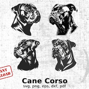Cane Corso Digital Art Set, Instant Download, svg png eps dxf pdf, Dog Clipart, Commercial Use, Cricut Files