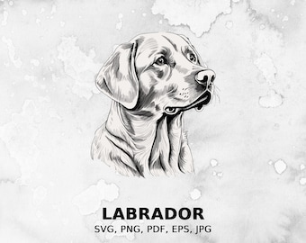 Labrador svg, fichier svg chien, svg pour animaux de compagnie, fichier pdf, png, fichier eps, fichier coupé, fichiers d’impression, clipart Labrador, accès instantané