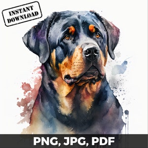 Rottweiler Art Print, Rottweiler Dog Print, Rottweiler Watercolor, Rottweiler png, pdf, jpg, Sublimation