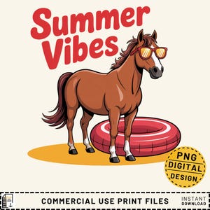 Summer Vibes Pferd PNG, Pool Float Pferd, lustiges Sommerpferd Design, Pferdeshirt Druck, Sommer Sublimationsdesign