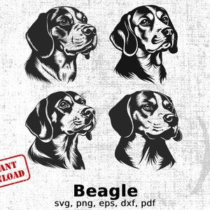 Beagle Dog Clipart Bundle, Beagle svg, png, eps, dxf, pdf, Digital Design, Instant Download, Commercial Use, Cricut Cut Files