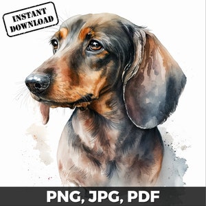 Dachshund Art Print, Dachshund Dog Print, Dachshund Watercolor, Dachshund png, pdf, jpg, Sublimation