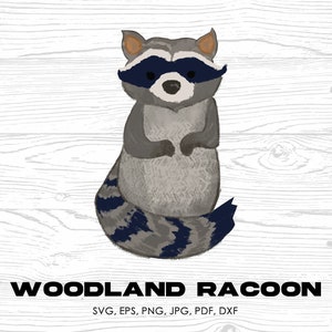 Woodland Animals, Racoon svg, png, jpg, pdf, eps, dxf / nature, clipart ad acquerello, stampabile
