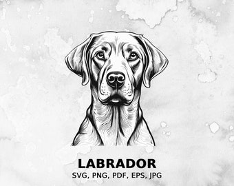 Labrador svg, fichier svg chien, svg pour animaux de compagnie, fichier pdf, png, fichier eps, fichier coupé, fichiers d’impression, clipart Labrador, accès instantané