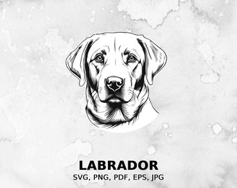 Labrador svg, fichier svg chien, svg pour animaux de compagnie, fichier pdf, png, fichier eps, fichier coupé, fichiers d’impression, clipart Labrador, accès instantané