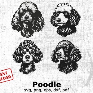 Poodle Clipart Bundle, Instant Download, Digital Poodle svg, png, eps, dxf, pdf, Commercial Use, Cricut Files