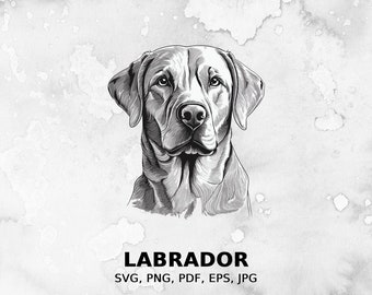 Labrador svg, fichier svg chien, svg pour animaux de compagnie, fichier pdf, png, fichier eps, fichier coupé, fichiers d’impression, clipart Labrador, accès instantané