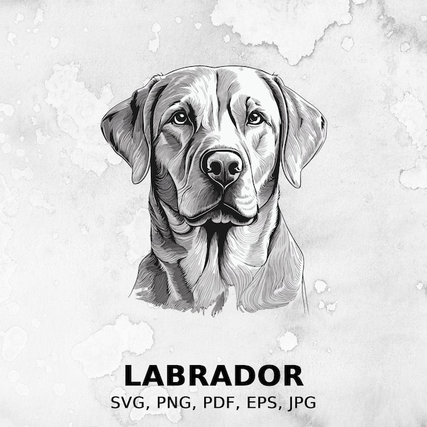 Labrador svg, Dog svg file, Pet svg, pdf file, png, eps file, cut file, print files, Labrador clipart, instant access