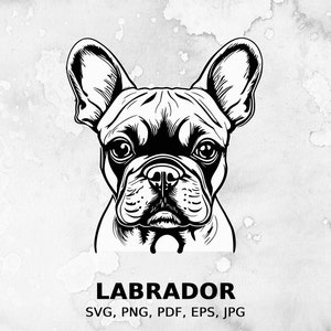 French Bulldog svg, Dog svg file, Pet svg, pdf file, png, eps file, cut file, print files, French Bulldog clipart, instant access