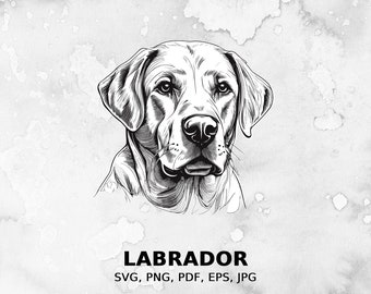 Labrador svg, fichier svg chien, svg pour animaux de compagnie, fichier pdf, png, fichier eps, fichier coupé, fichiers d’impression, clipart Labrador, accès instantané