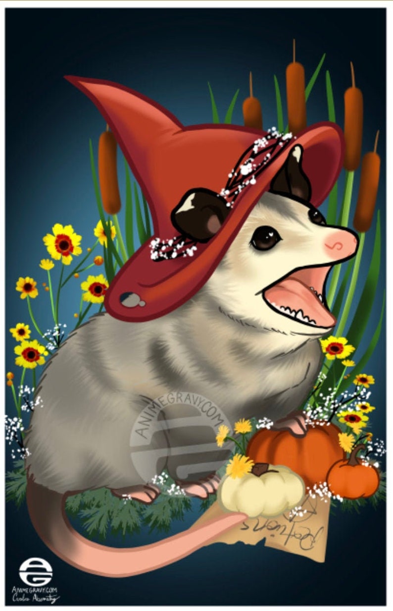 Possum witch 11x17 print image 1