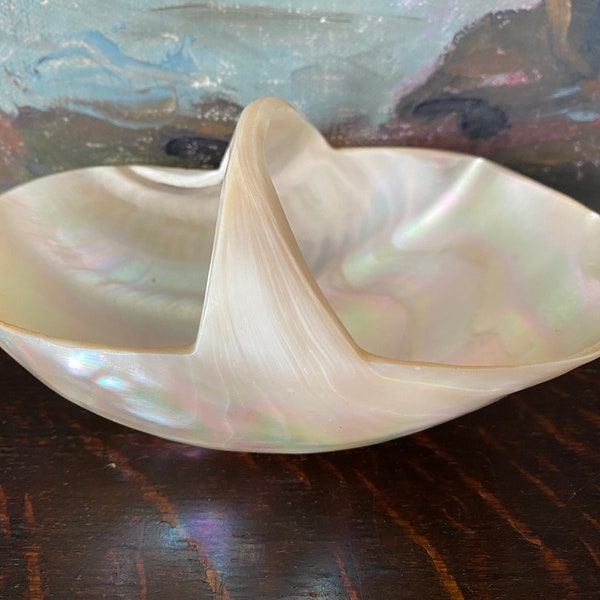 Vintage Mother-of-Pearl Caviar Dish Vintage Turbo Marmoratus Sea Snail Shell Caviar Basket Vintage Mother-of-Pearl Shell Caviar Server